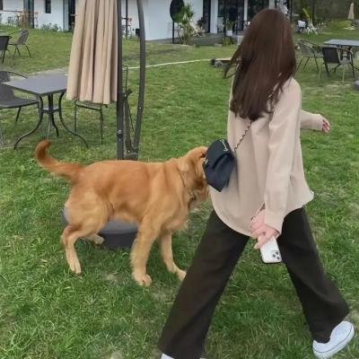 执行外传