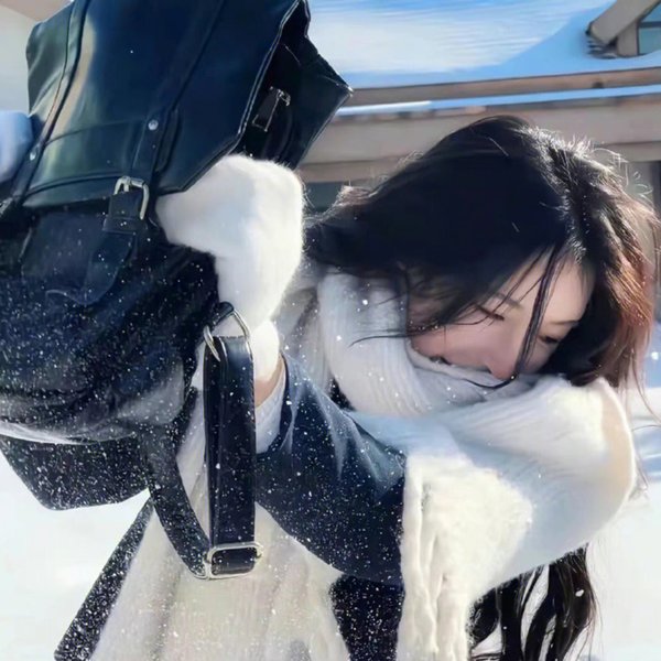 南来北往